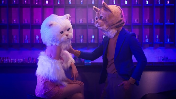 ผลงาน Moochie Cat